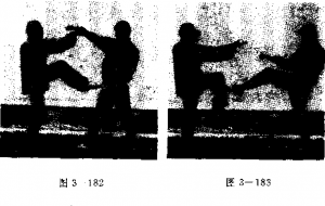 图片95