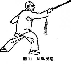 图片101