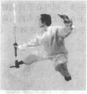 图片17