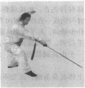 图片29