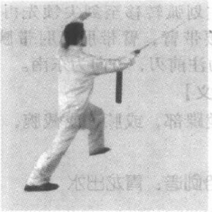 图片31
