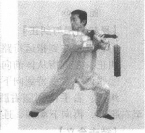 图片31