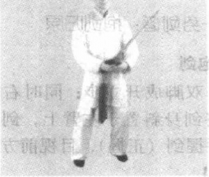 图片11