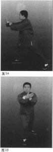 图片5