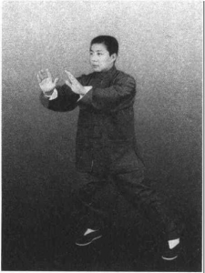 图片11