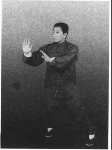 图片13