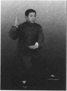 图片11