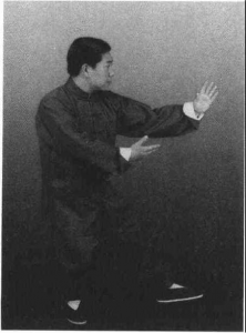 图片19