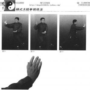 图片21