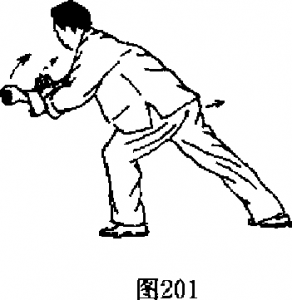 图片116