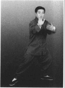 图片43