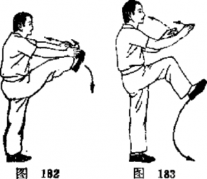 图片17