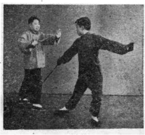图片44