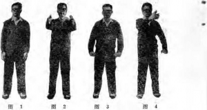 图片1