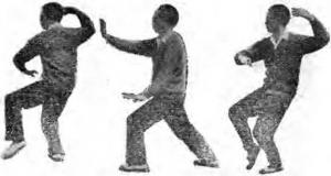 图片14