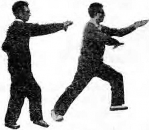 图片44