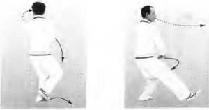 图片11