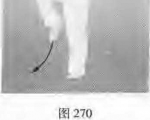 图片30