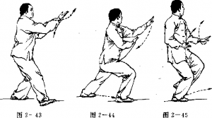 图片65