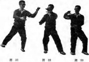 图片12