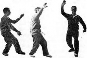 图片16