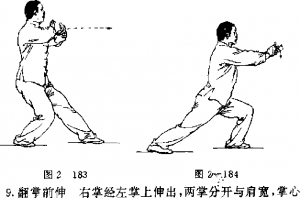 图片54