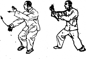 图片8