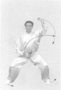 图片48