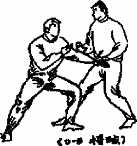 图片146