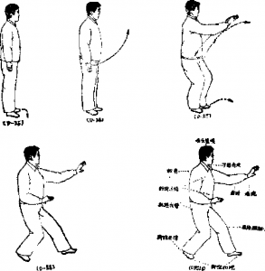 图片161