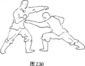图片48