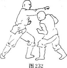 图片50
