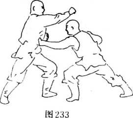 图片51