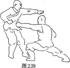 图片56