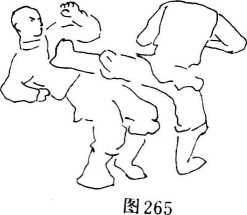 图片75
