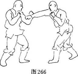 图片76