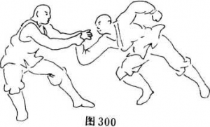 图片102