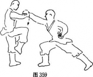 图片148