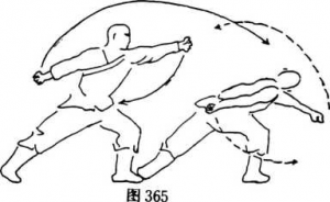 图片154