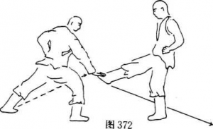 图片161