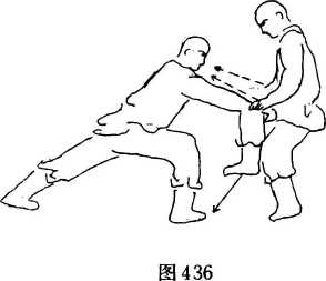 图片215