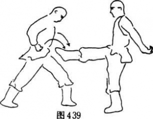 图片219