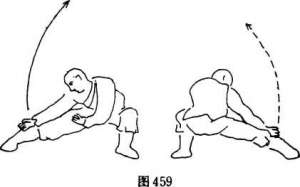 图片233