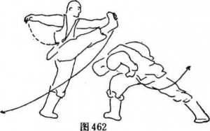 图片236