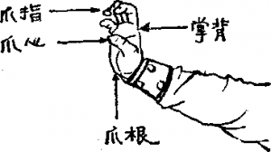 图片5
