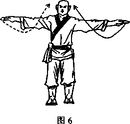 图片6