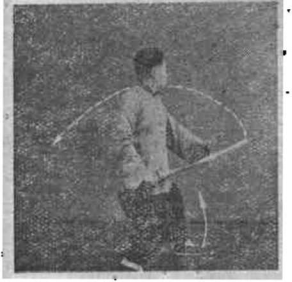 图片23