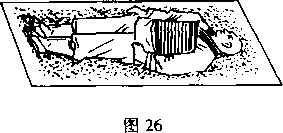 图片21