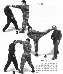 图片68