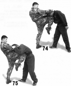 图片97